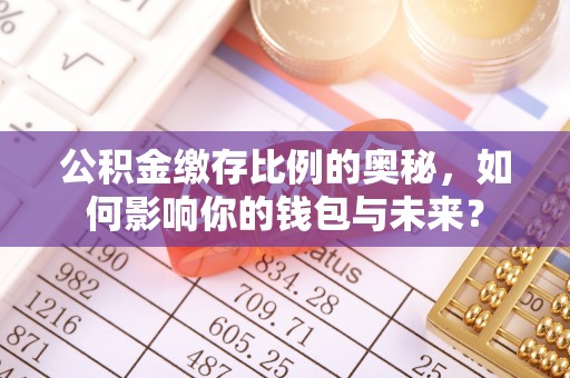 无棣公积金缴存比例的奥秘，如何影响你的钱包与未来？