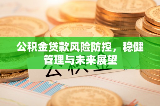 无棣公积金贷款风险防控，稳健管理与未来展望