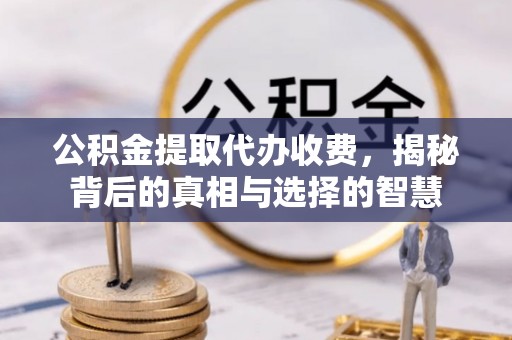 无棣公积金提取代办收费，揭秘背后的真相与选择的智慧