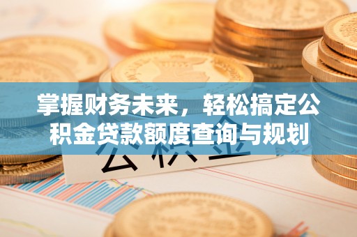 无棣掌握财务未来，轻松搞定公积金贷款额度查询与规划