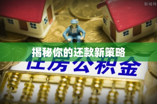 无棣揭秘你的还款新策略