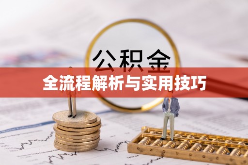 无棣全流程解析与实用技巧