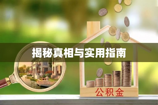 无棣揭秘真相与实用指南