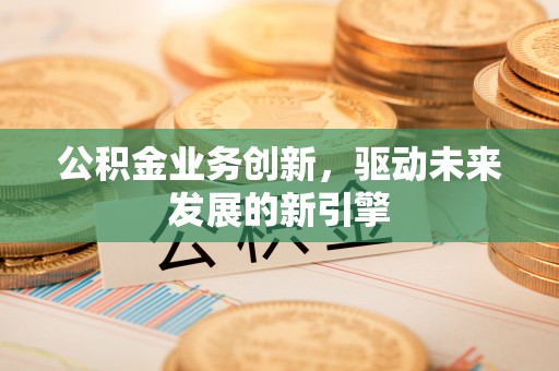 无棣公积金业务创新，驱动未来发展的新引擎