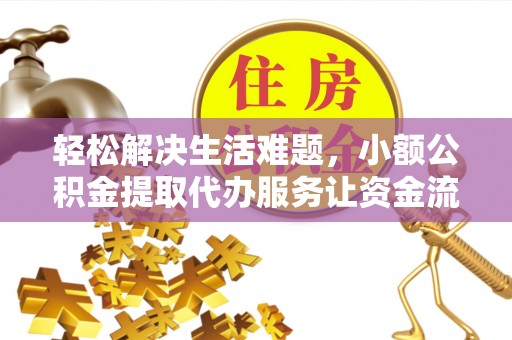 无棣轻松解决生活难题，小额公积金提取代办服务让资金流动更便捷