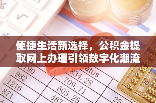 无棣便捷生活新选择，公积金提取网上办理引领数字化潮流