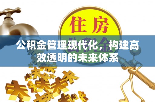 无棣公积金管理现代化，构建高效透明的未来体系