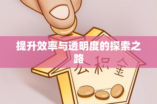 无棣提升效率与透明度的探索之路
