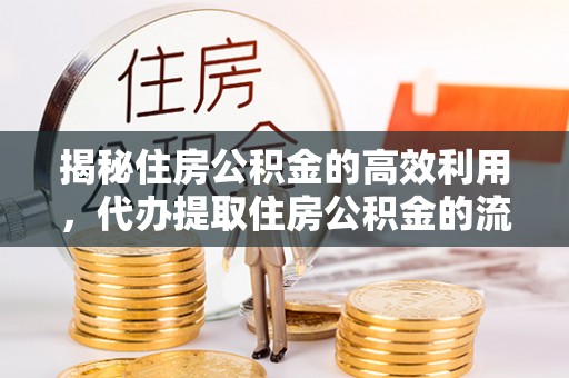 无棣揭秘住房公积金的高效利用，代办提取住房公积金的流程与技巧