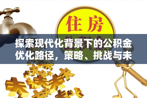 无棣探索现代化背景下的公积金优化路径，策略、挑战与未来展望