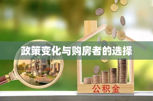 无棣政策变化与购房者的选择