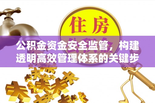 无棣公积金资金安全监管，构建透明高效管理体系的关键步骤