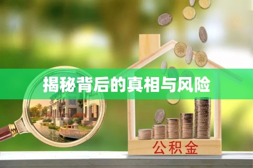 无棣揭秘背后的真相与风险