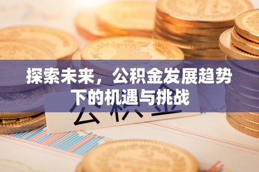 无棣探索未来，公积金发展趋势下的机遇与挑战