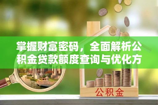 无棣掌握财富密码，全面解析公积金贷款额度查询与优化方案