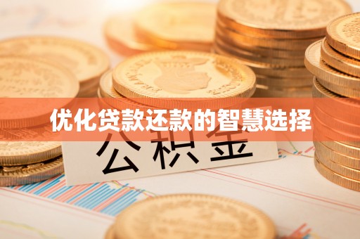 无棣优化贷款还款的智慧选择