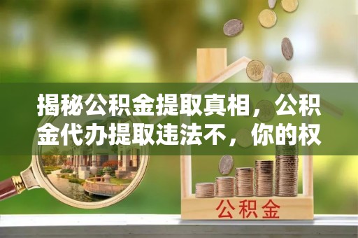 无棣揭秘公积金提取真相，公积金代办提取违法不，你的权益如何保障？