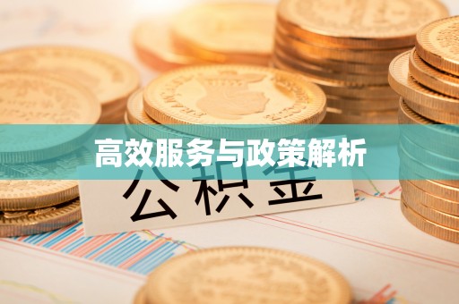 无棣高效服务与政策解析
