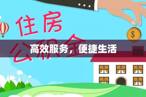无棣高效服务，便捷生活