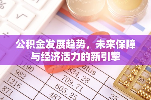 无棣公积金发展趋势，未来保障与经济活力的新引擎