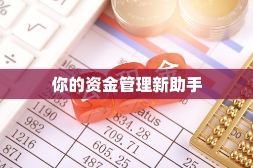 无棣你的资金管理新助手