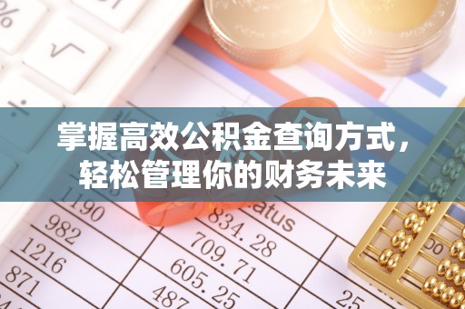 无棣掌握高效公积金查询方式，轻松管理你的财务未来