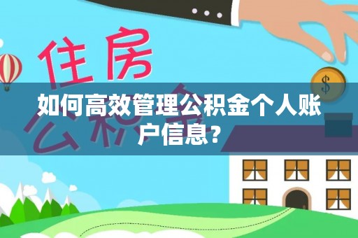 无棣如何高效管理公积金个人账户信息？