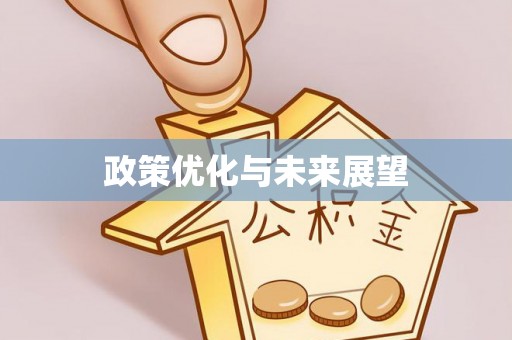 无棣政策优化与未来展望