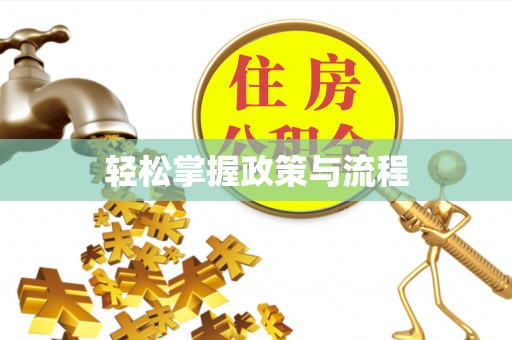 无棣轻松掌握政策与流程