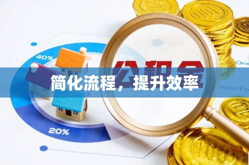 无棣简化流程，提升效率
