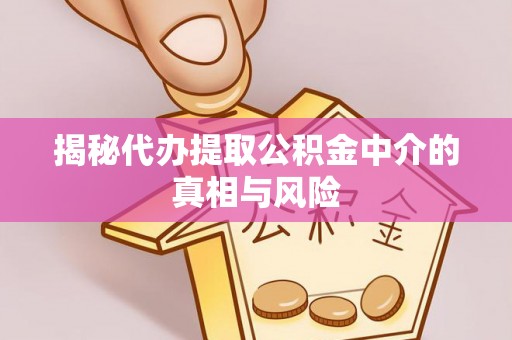 无棣揭秘代办提取公积金中介的真相与风险