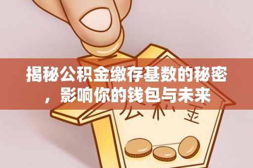 无棣揭秘公积金缴存基数的秘密，影响你的钱包与未来