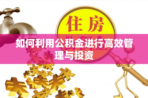 无棣如何利用公积金进行高效管理与投资