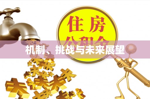 无棣机制、挑战与未来展望