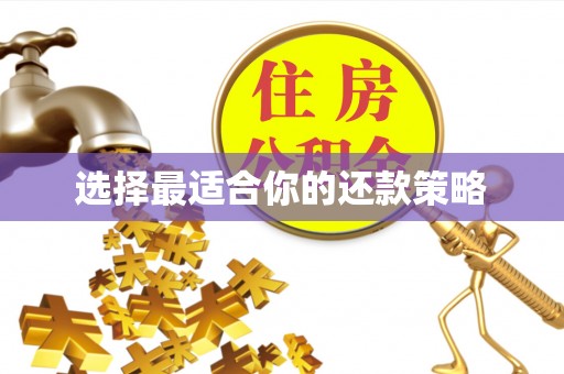 无棣选择最适合你的还款策略