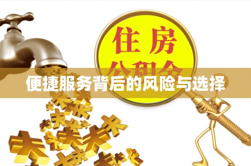 无棣便捷服务背后的风险与选择