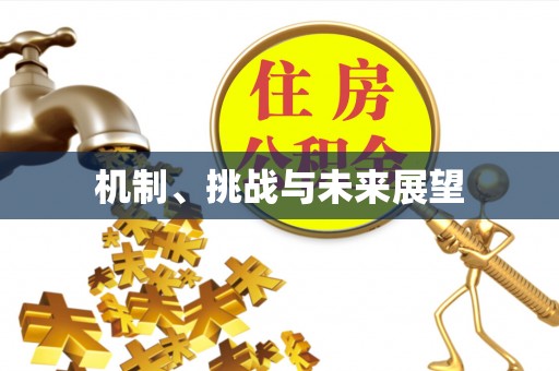 无棣机制、挑战与未来展望