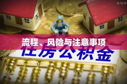 无棣流程、风险与注意事项