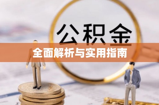 无棣全面解析与实用指南