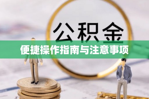 无棣便捷操作指南与注意事项