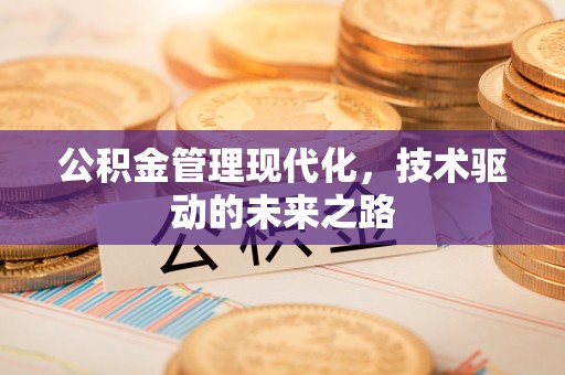 无棣公积金管理现代化，技术驱动的未来之路